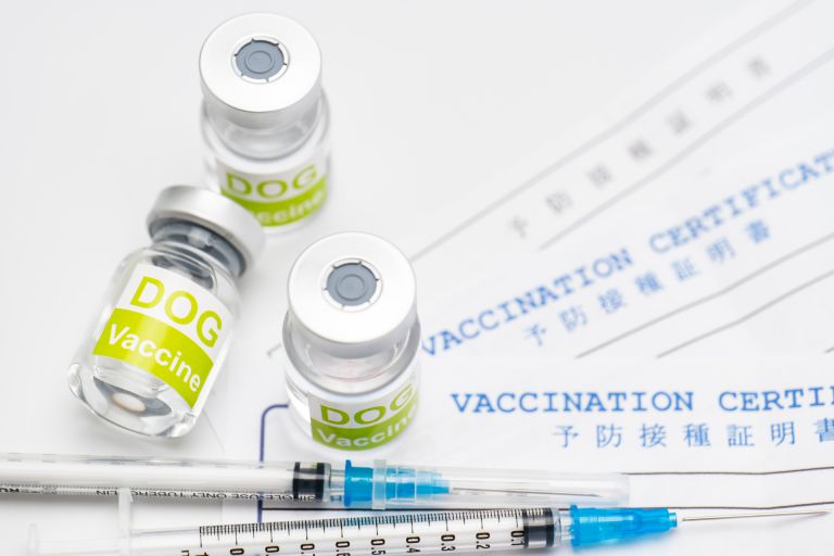 新宿で見直す内科医との健康関係