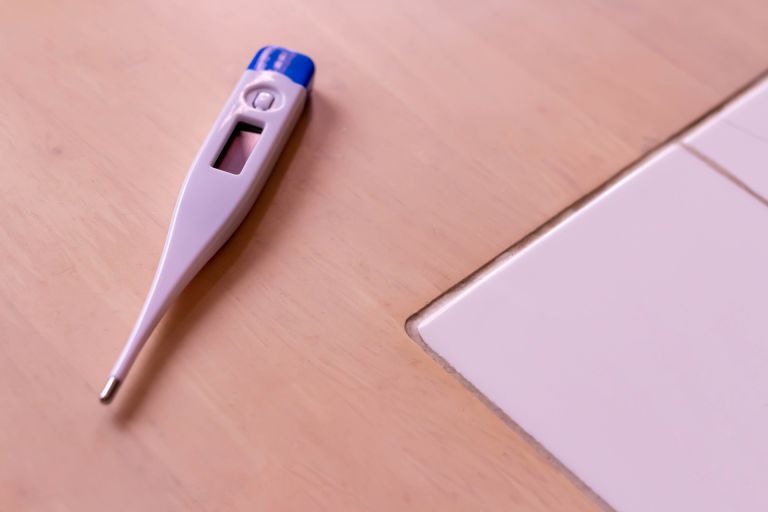 新宿で日々を支える多様な内科医療の現場と都市生活者の健康を守る仕組み