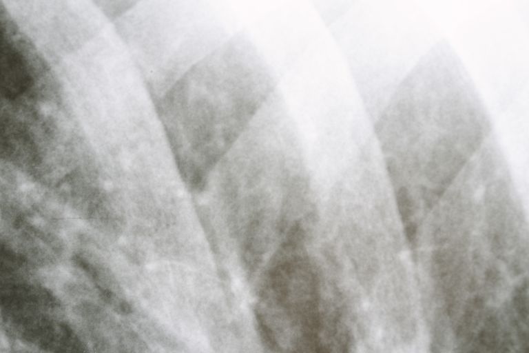 新宿の多様な日常に寄り添う駅近内科医療と地域を支える安心ネットワーク